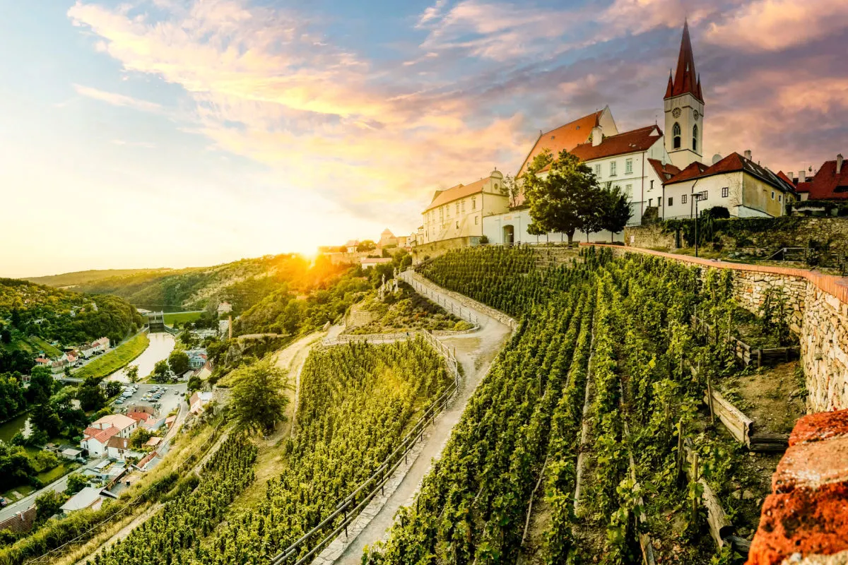 Transfer Over Prague! Wine And Dine On The Low-cost In Czech Republic’s ‘Tuscany’