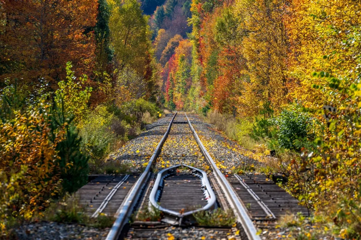 Don’t Miss This Epic Fall Foliage Practice Experience From Washington To Vermont For $62 