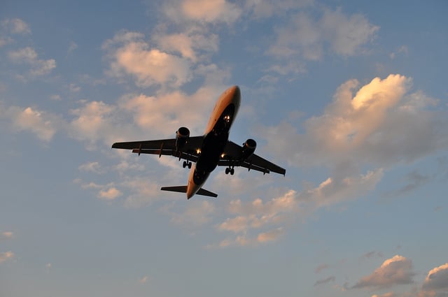 The early chook catches the perfect offers