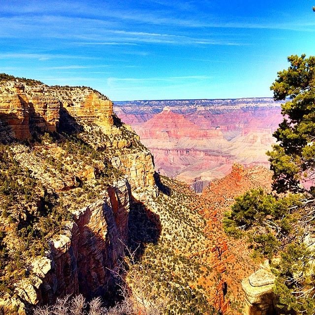 Climbing & Mule Driving My Means By means of Arizona’s Grand Canyon [Photo Essay]